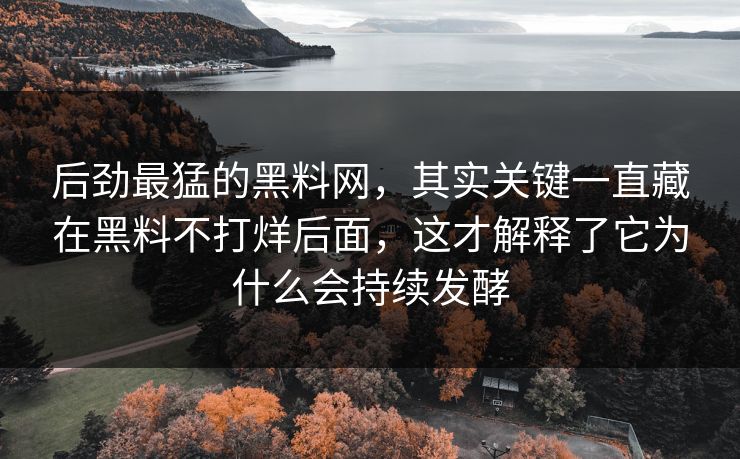 后劲最猛的黑料网,其实关键一直藏在黑料不打烊后面,这才解释了它为什么会持续发酵 后劲最猛的黑料网,其实关键一直藏在黑料不打烊后面,这才解释了它为什么会持续发酵